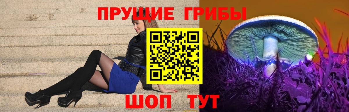 Галлюциногенные грибы MAGIC MUSHROOMS Прокопьевск