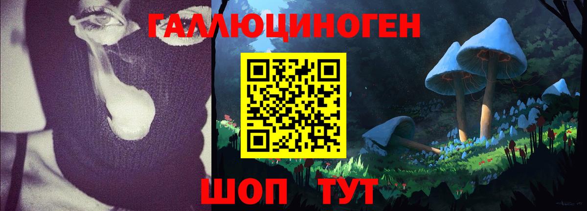 Псилоцибиновые грибы GOLDEN TEACHER  Галлюциногенные грибы Cubensis  Прокопьевск  купить наркоту  Вход с VPN 